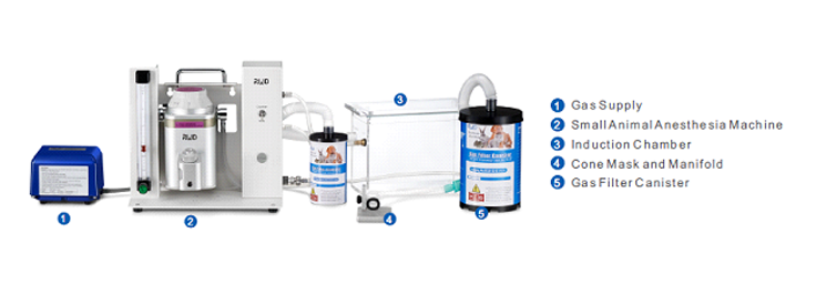 Anesthesia & Ventilator for small animal rats, mice Anesthesia & Ventilator for small animal rats, mice