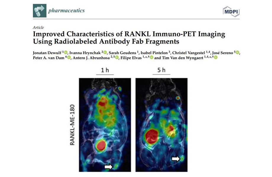 Pet Scan Machine Price in India