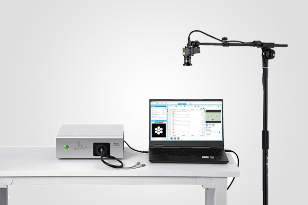 Fiber Photometry Neural Recording in India