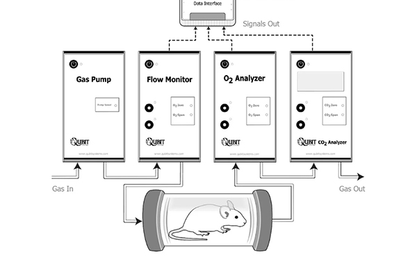 Small Animal Respirometry